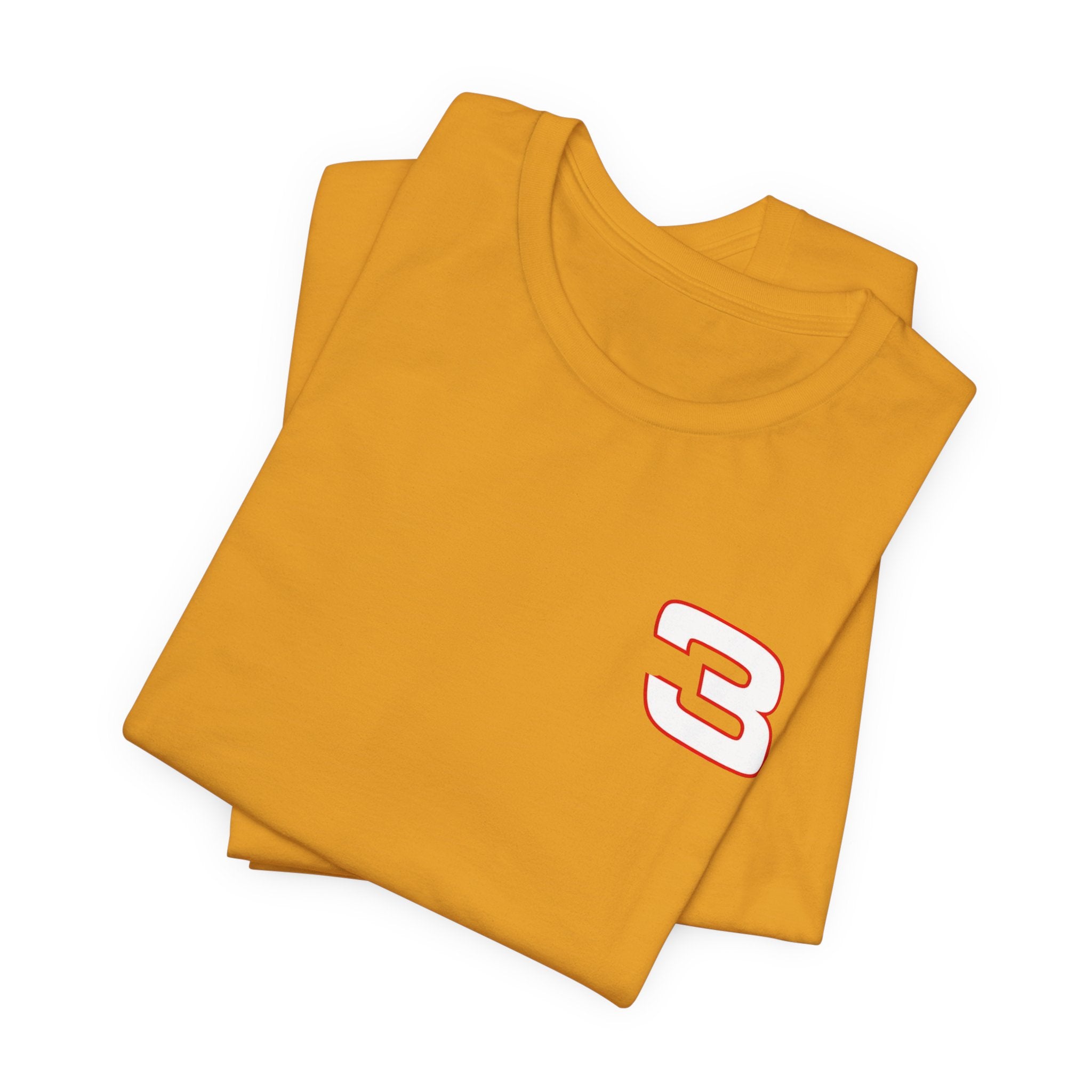 Dale Earnhardt Vintage Tee